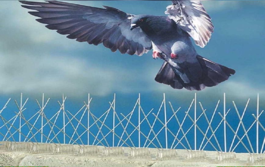 WhatsApp Image 2025-09-02 at 10.45.23 AM.jpeg